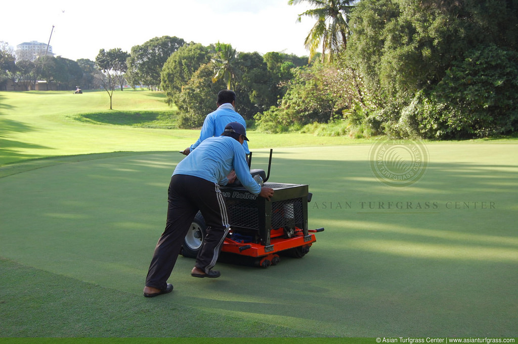 A lightweight roller on a golf course putting green