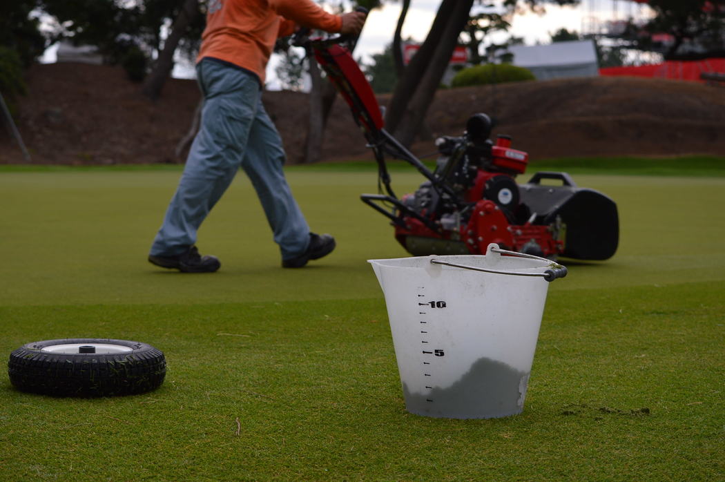 Using a bucket to measure the volume of clippings from a single mow of a putting green