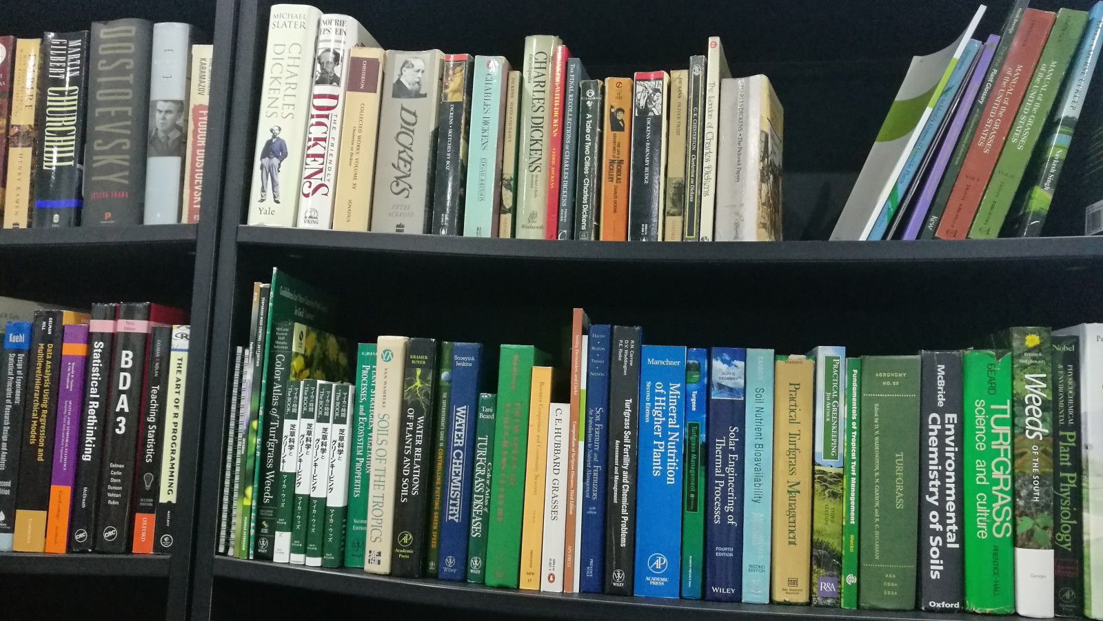bookshelves and books