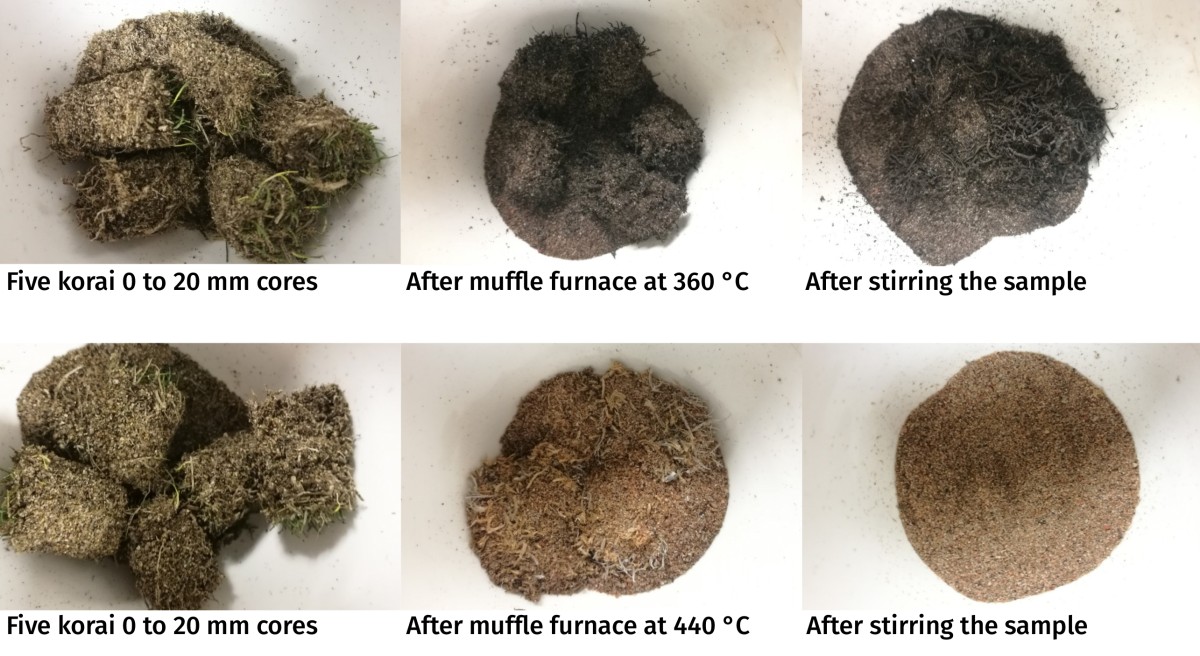korai plugs burned at 360 and 440 C, before and after appearance