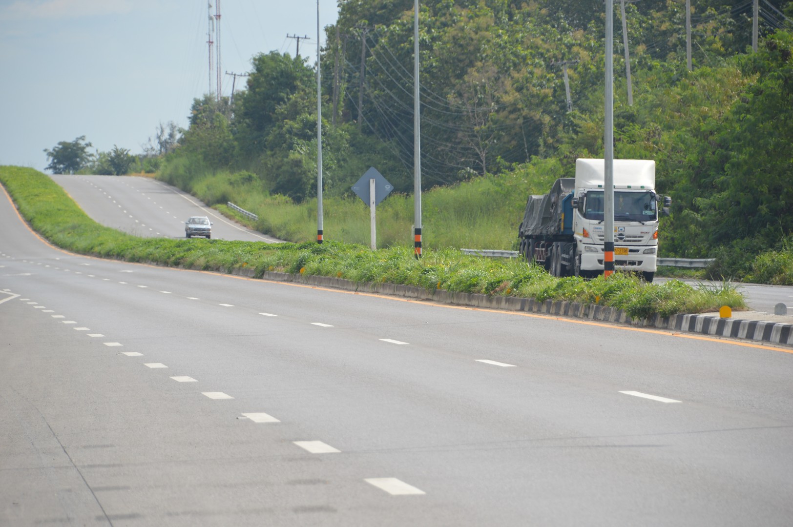 highway median in Lampang, Thailand recently sodded with manilagrass and now overtaken by weeds
