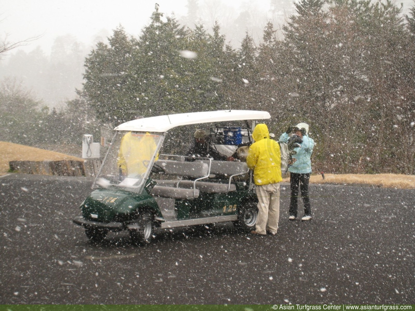 playing golf on a snowy day